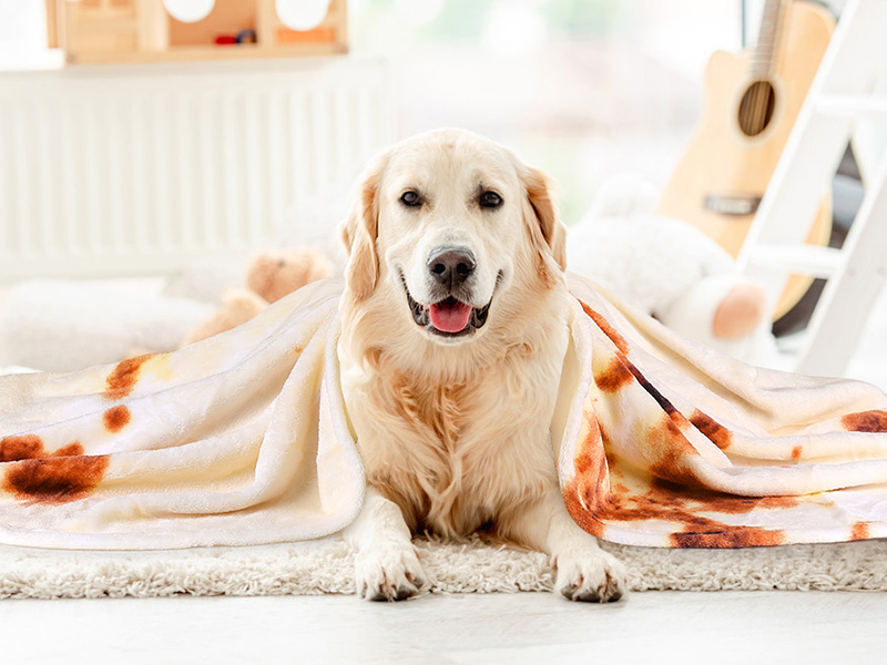 tortilla blanket
