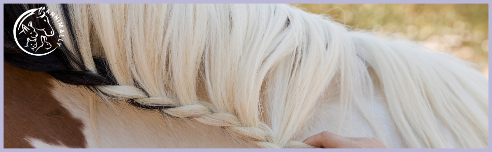 Die Haare eines Hundes flechten