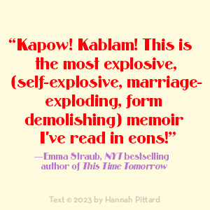 We Are Too Many Hannah Pittard Emma Straub quote