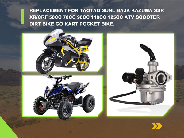 Amazon.com: GOOFIT PZ19 Carburetor Replacement for Taotao