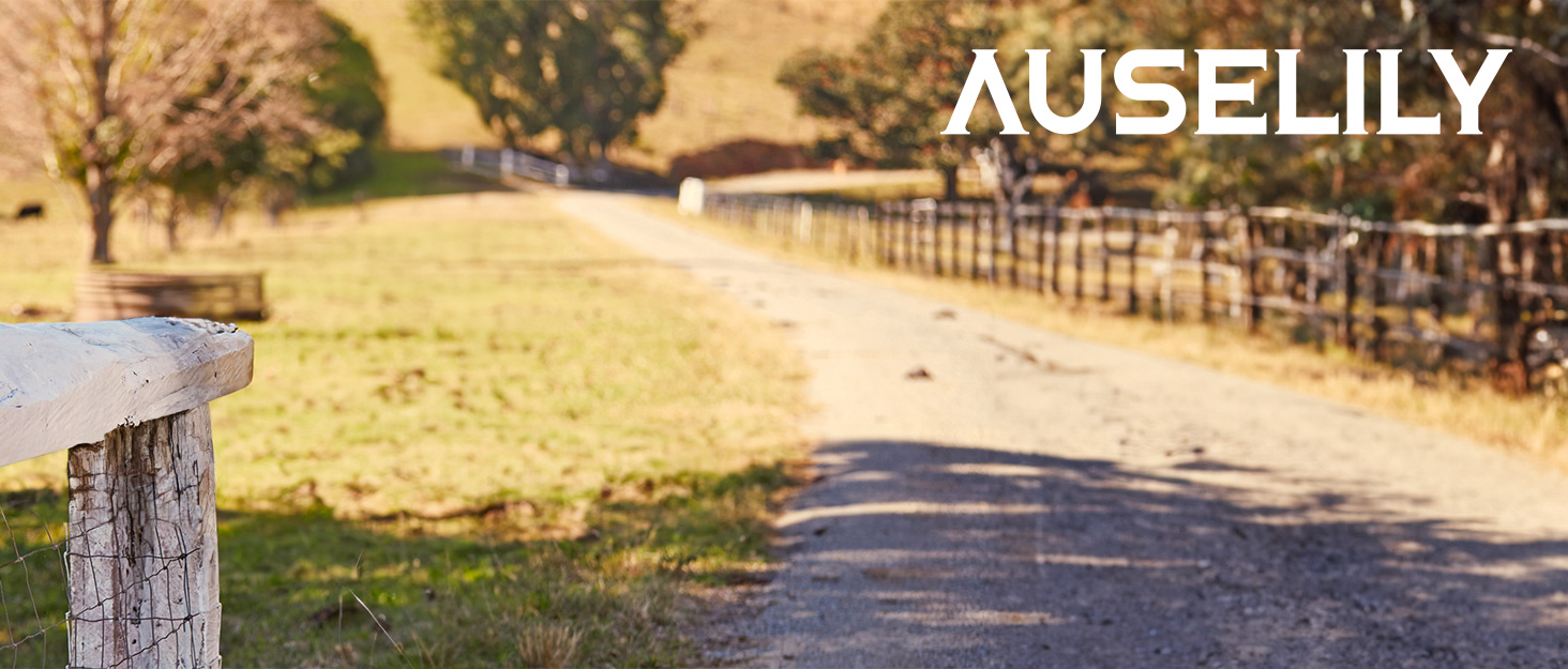AUSELILY