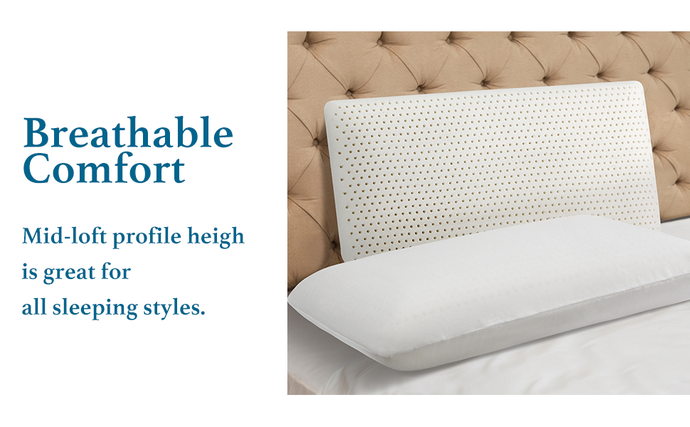 Talalay Latex Pillow