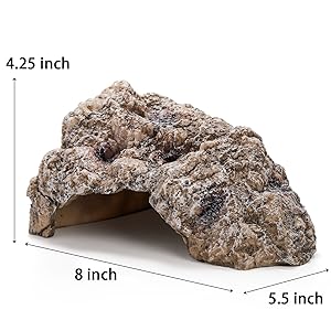 Snake Turtle Hides Box