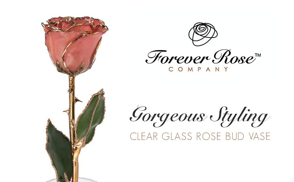 Forever Rose Clear Glass Bud Vase, Decorative Clear Glass