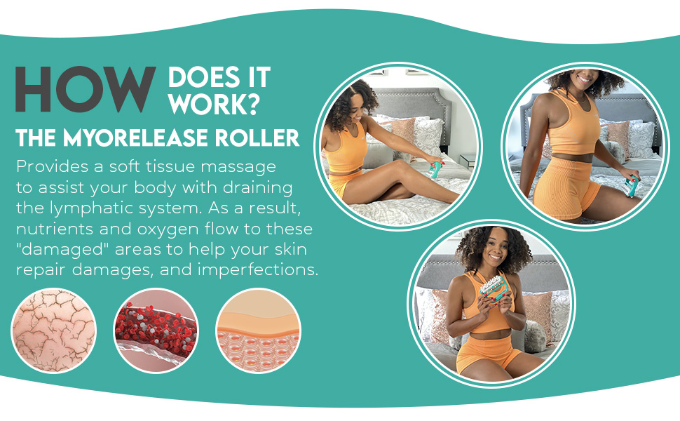 Myorelease Lymphatic Roller Section 4