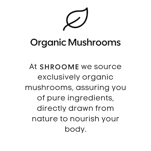 turkey tail mushroom capsules, turkey tail mushroom, turkey tail mushroom extract, turkey tail