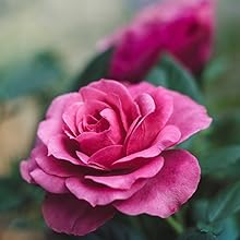 Small manufacture image 15