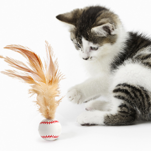 猫のおもちゃのボール