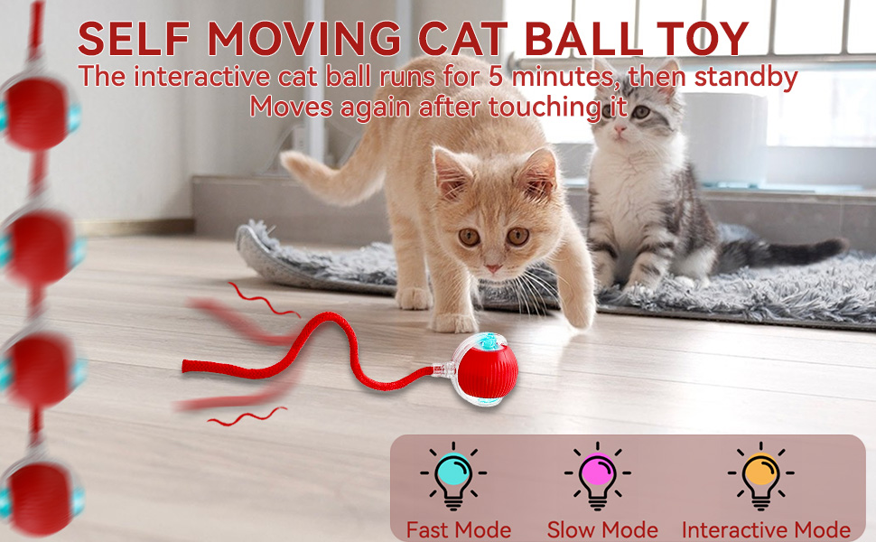Smart Pet Chase Ball with Speedy Tail Rope for Bored Indoor Cats Enrichment