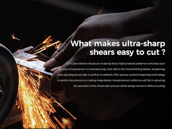 Professional Poultry Shears