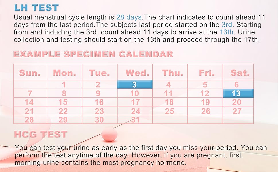 ovulation and pregnancy test strips