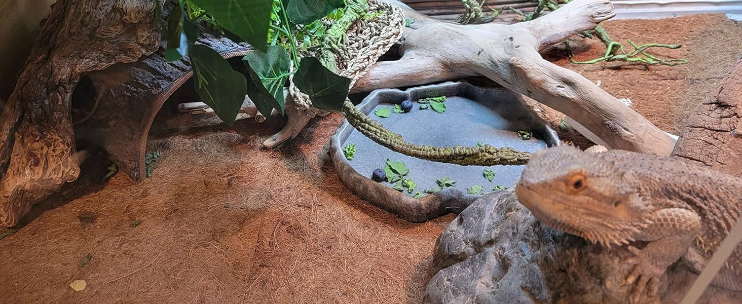 Bearded Dragon Tank Accessories, Reptile Substrate Floor for Bearded Dragon