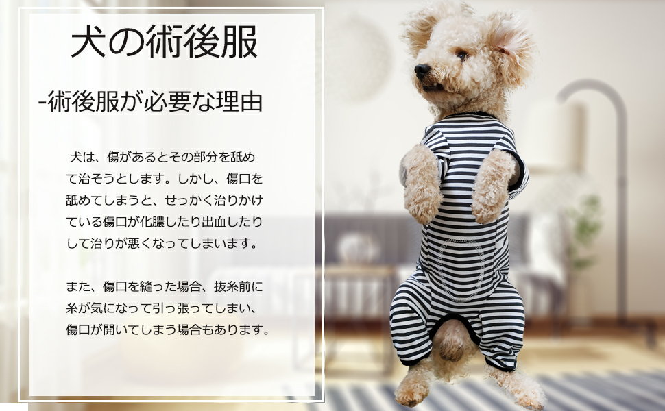 Amazon 犬用術後ウェア 術後服 ペット用品 雄 雌兼用 オス メス兼用 傷口保護 術後カバー服 避妊手術 エリザベスカラーに代わる 離乳 引っ掻き防止 皮膚病 四季用 介護 オス去勢向き 通気 小型犬 中型犬 レッド ストライプ Xs Zimaoshan 術後ウェア 通販 Amazon 犬用術後ウェア 術後服 ペット用品 雄 雌兼用 オス メス兼用 傷口保護 術後カバー服 避妊手術 エリザベスカラーに代わる 離乳 引っ掻き防止 皮膚病 四季用 介護 オス去勢向き 通気 小型犬 中型犬 レッド ストライプ Xs Zimaoshan 術後ウェア 通販