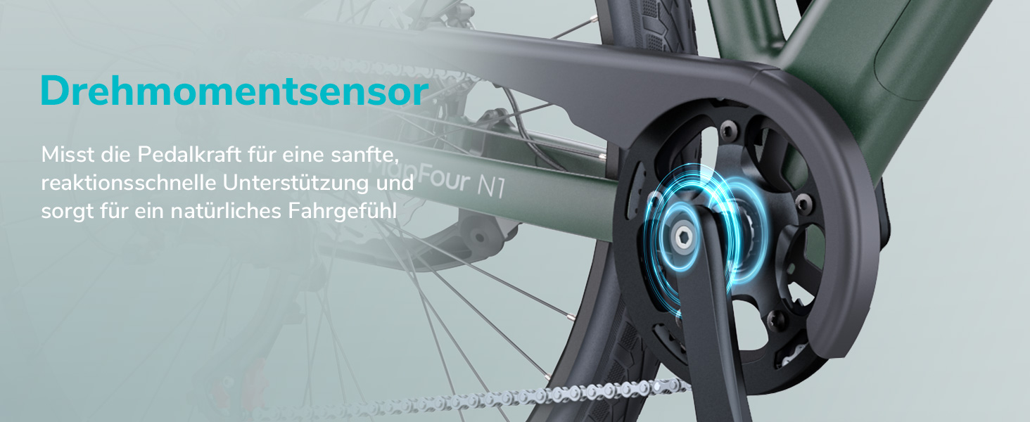 e bike