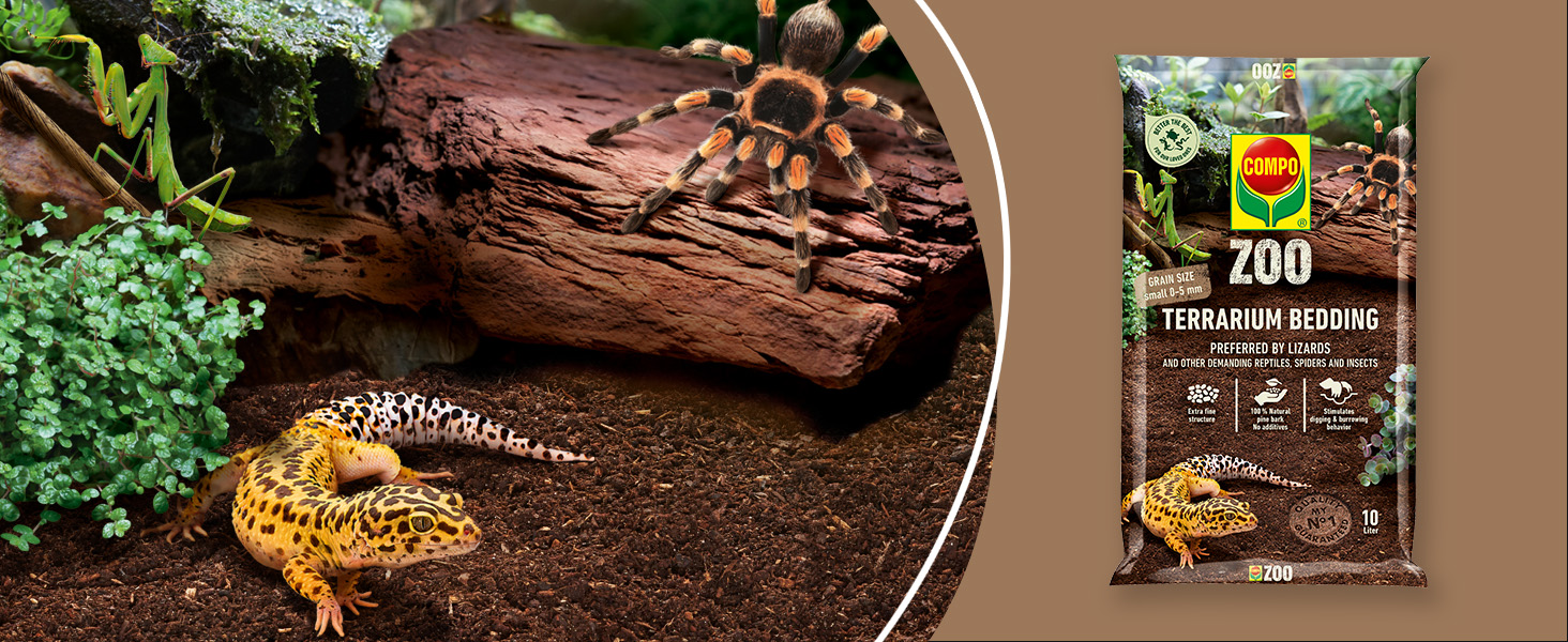 DE-AMZ-A-Plus-COMPO-ZOO-lizard-S-1464x600-06