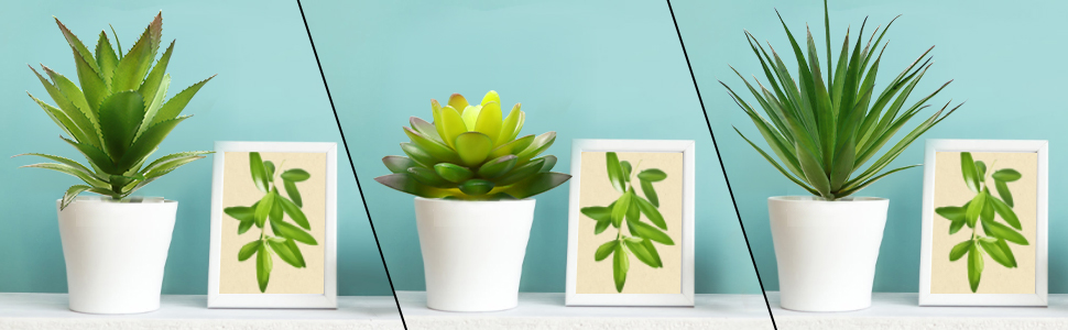 fake succulent plants