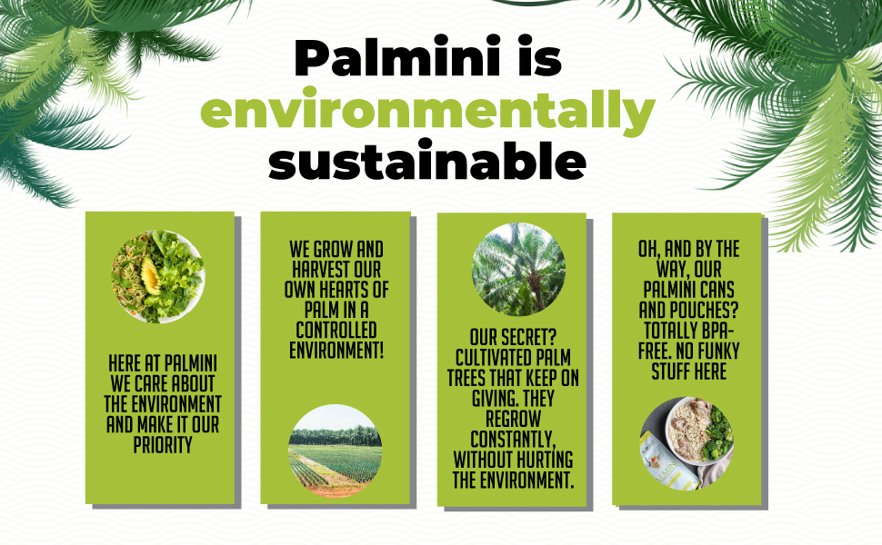 palmini is environmentally sustainable