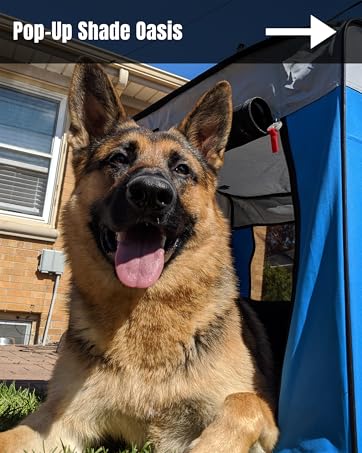 Dog inside the CoolerDog Pop-Up Shade Oasis being protected from the sun