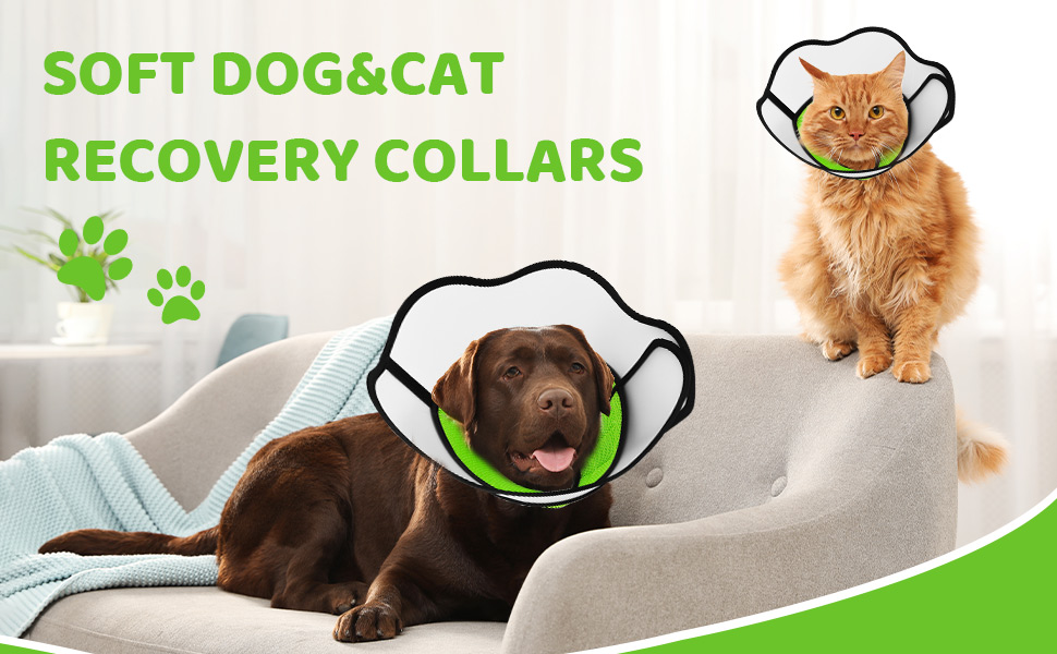 recovery collars for dogs