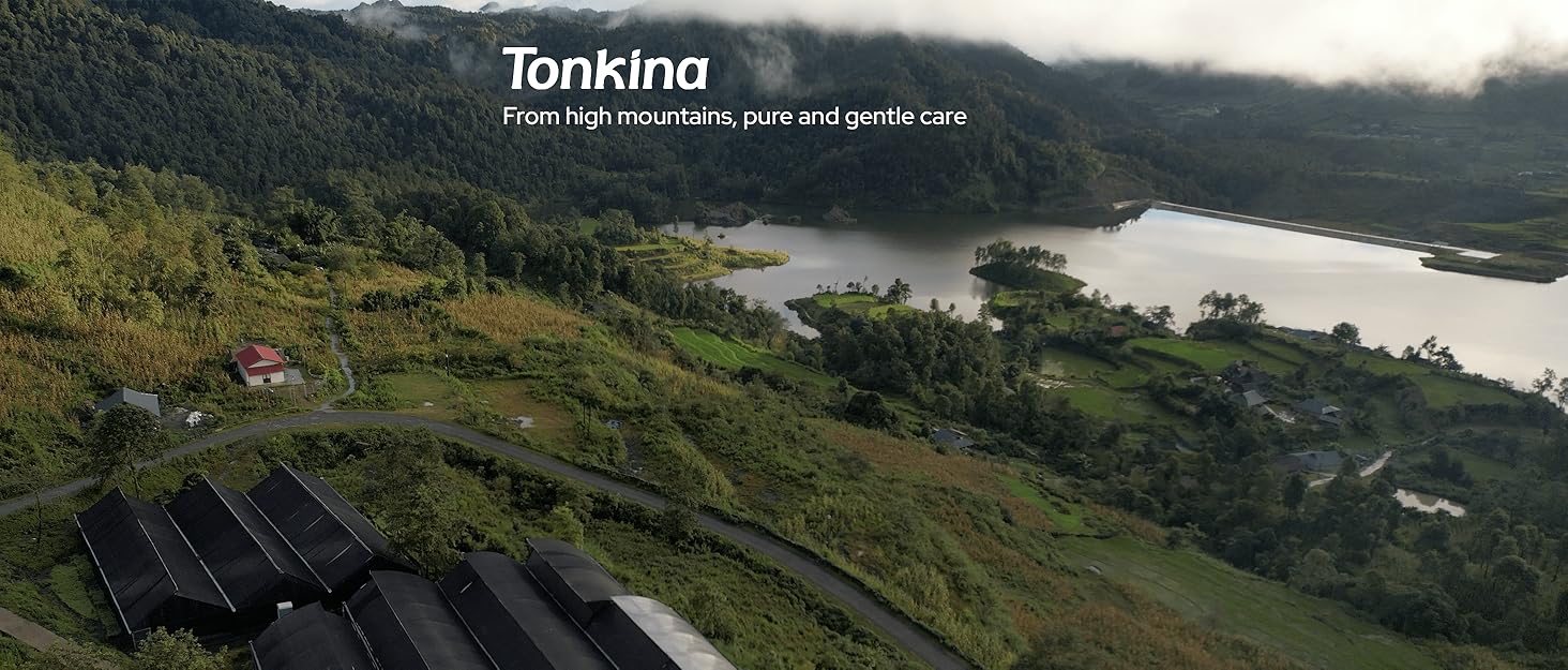 Tonkina Cultivation area