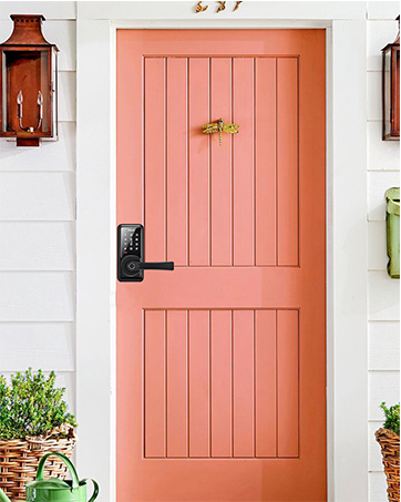 smart door locks for front door