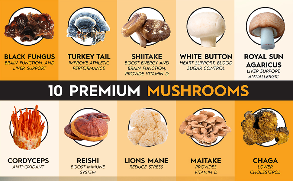 mushroom complex immune support mushroom supplements for immunity maitake mushroom capsules
