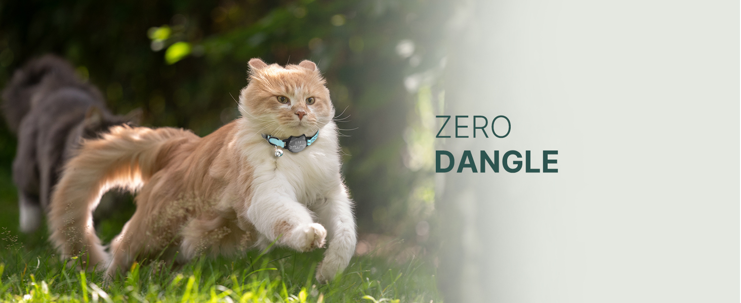cat collar with airtag