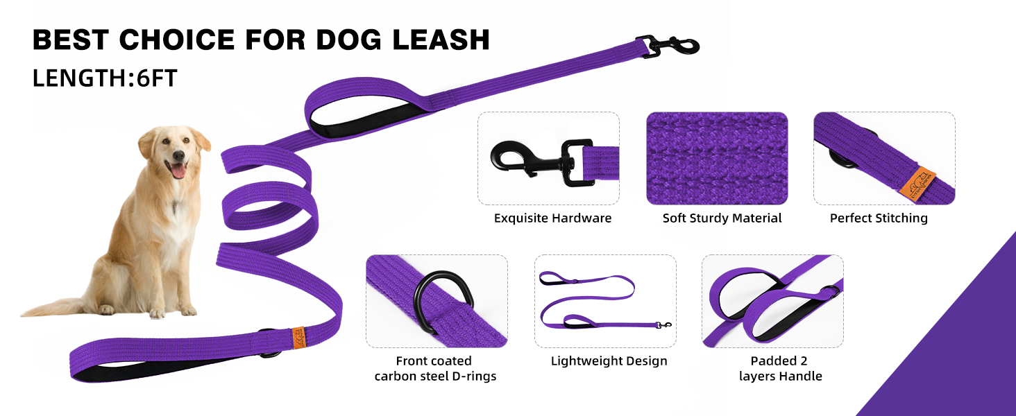 6FT Dog Leash for Large Medium Small Dogs