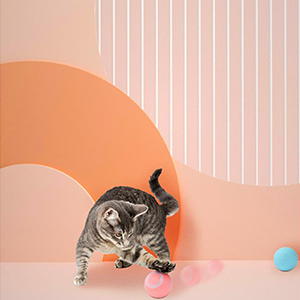 Getigerte Katze spielt mit bunten Bällen vor einem pastellfarbenen geometrischen Hintergrund. Rosa und orangefarbene Formen mit vertikalen weißen Linien schaffen eine stilisierte Umgebung.