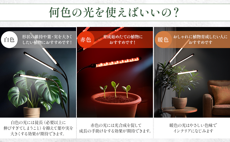植物育成ライト 30W 6000K 3個 黒色 太陽光 フルスペクトルLED01 楽天市場】植物育成ライト LED 育成ライト LED栽培 多肉植物