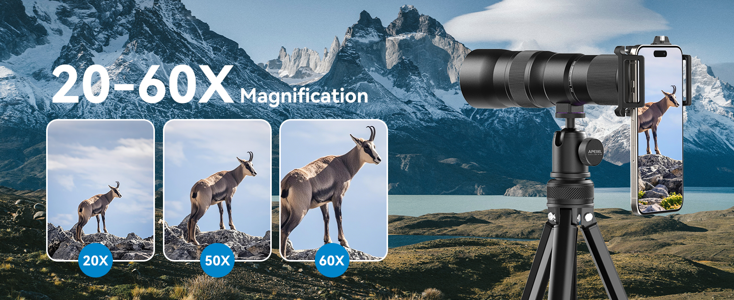 20-60X magnification