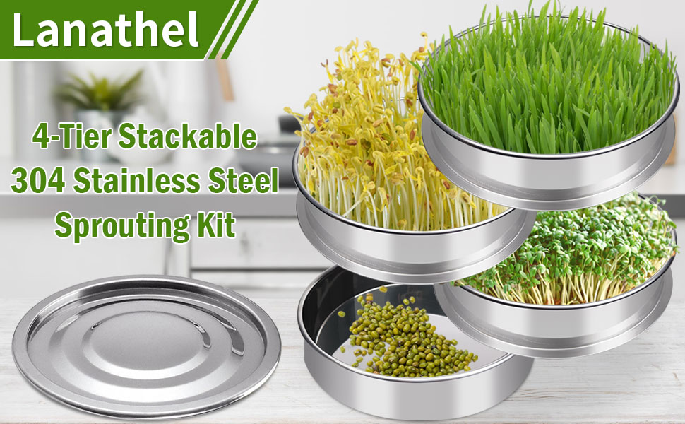sprouts growing kit