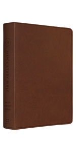 mens study bible