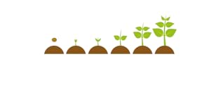 your orders grow forests