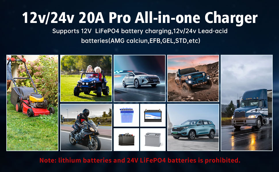 lifepo4 battery charger