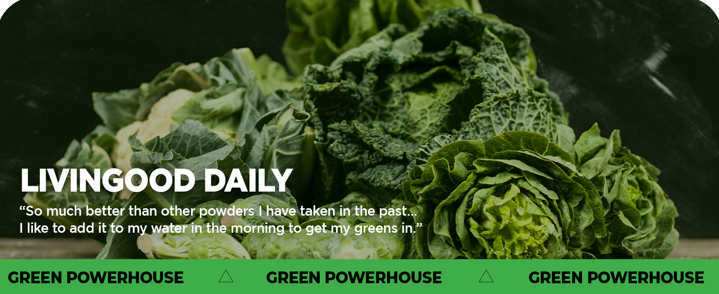 livingood daily greens original powder mix super food chlorella green algae boost energy digestive