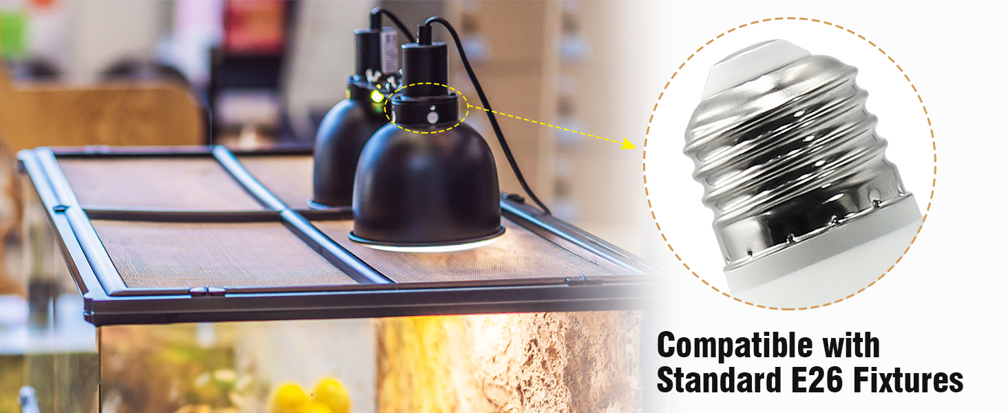 bearded dragon uvb light