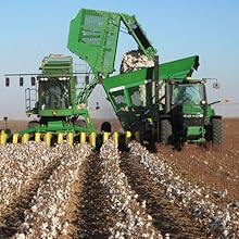 Harvester picking cotton in the field