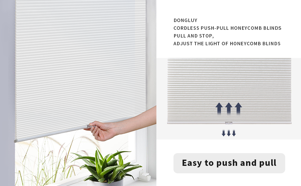 DongLuY Cellular Window Shades Cordless Blinds for Window