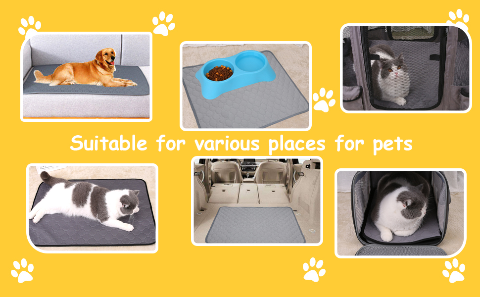 Petbuy Washable Reusable Dog Pee Pads 20”x 28”,Waterproof