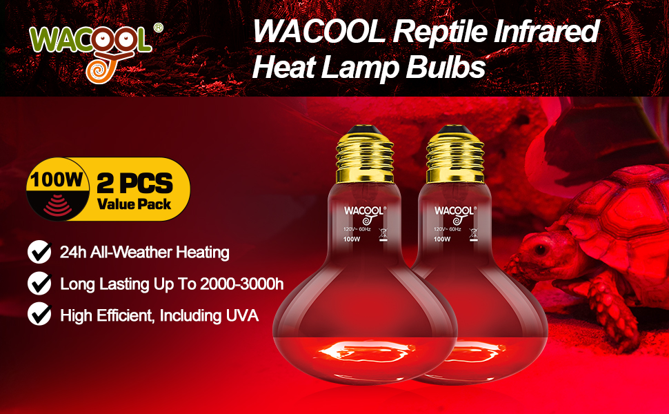 reptile heat lamp