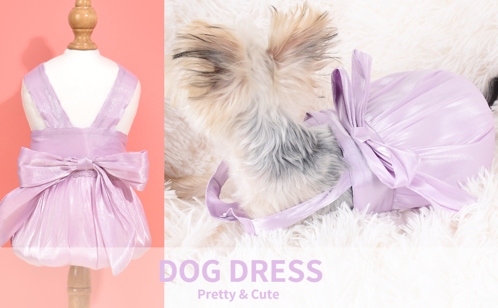 dog dress