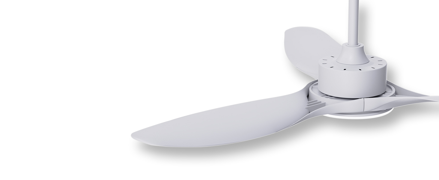 ceiling fan with light