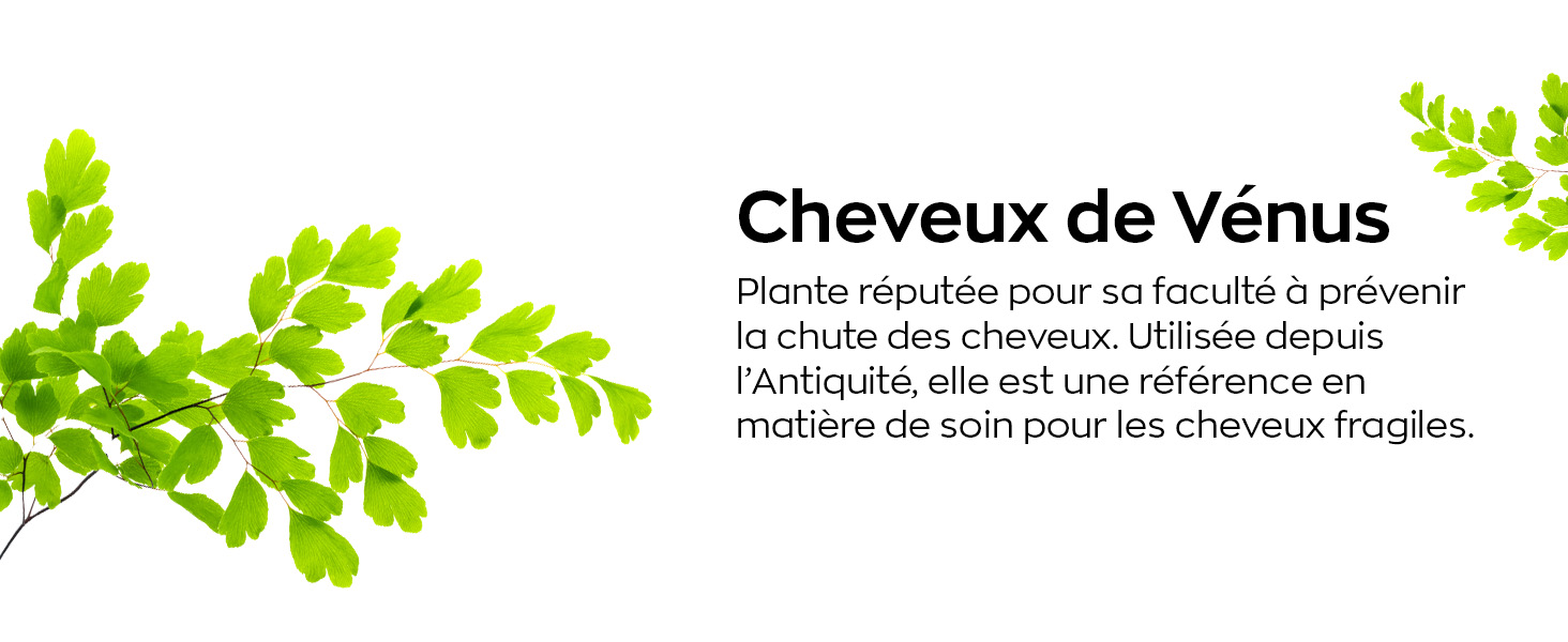 Extrait De Cheveux De Venus www.amazon.fr