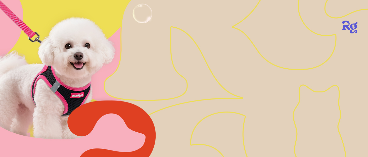 rabbitgoo dog harness