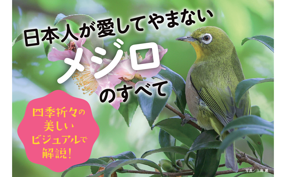 愛が生まれる！作品メジロ