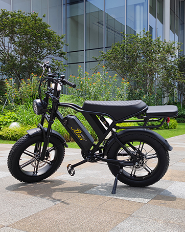 SISIGAD E Bikes Mountain Bike Fat Bike 20 Inch Electric Bicycle Men Women Electric Bicycle