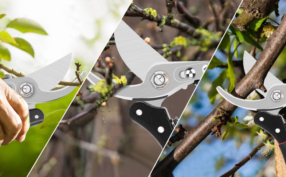 Secateurs