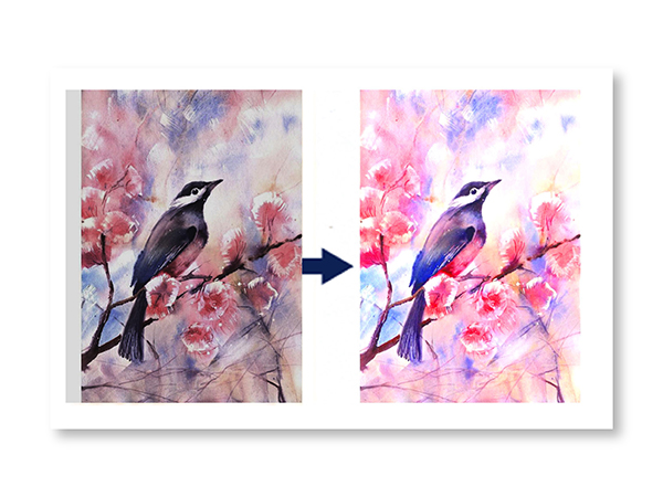 Color Enhancing