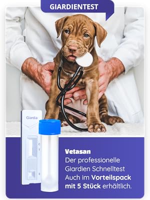 Vetasan Giardientest Schnelltest Giardia Giardien Giardien Test für Hunde und Katzen